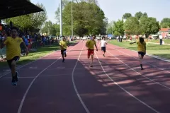 matilano-atletica-pavia-4