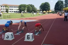 mat4